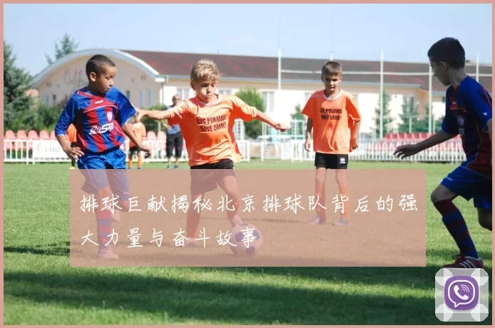 排球巨献揭秘北京排球队背后的强大力量与奋斗故事