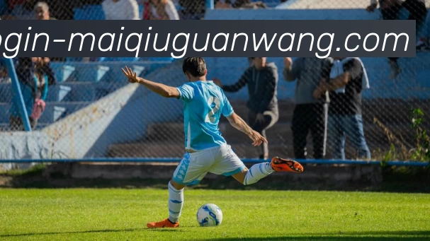 多媒体互动体验