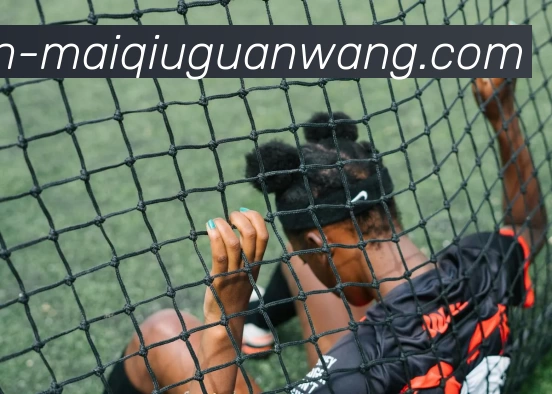 买球官网APP 体育赛事宣传图